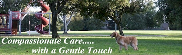 Compassionate Care with a gentle touch