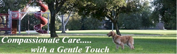 Compassionate care with a gentle touch